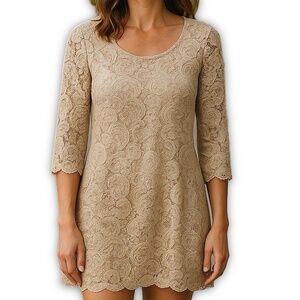 White House Black Market Champagne Gold Lace Sheath Dress Size 10 NEW